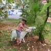 nguyenhuong199333