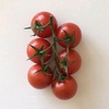 tomatoeiei99