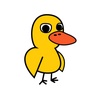 i_am_the_duck_21