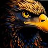 __awais_awan_222_