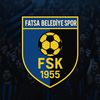 433fatsaspor