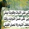 user745278933