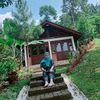 aanrohaenia
