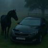 elnur___1