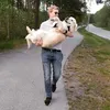 markuspettersson4