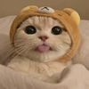 elly_xdjj