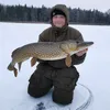 fiskemartin