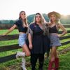 theheelsmusic