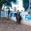 Thomaz