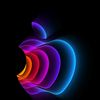 gamal_mohamad