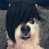 l_ruixx