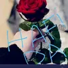 ibrach_