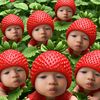 wawa_11635
