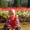 user134202761
