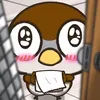 _bibeboo0