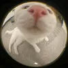 paul1.na_08