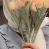 umufdlh1