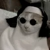 luissouza469