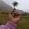yadita241989