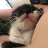 slothgirl214