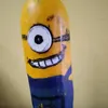 apendixxx1