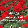hammoudihammoudi781