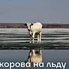 kukarinaww