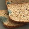 radioactive_bread8