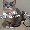 serg.pupsik