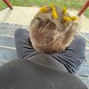 melodie_802vt