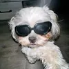 ainezry