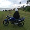 tiger.blue14