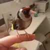 josect92
