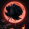 anna_nights2