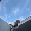 wonderhome42