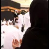 gulli_spi62