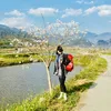 nguvihuong207