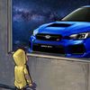 subaru.beall