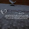 user476139152