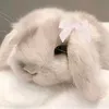 arianx_dump