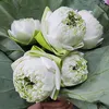1000flkhoqua