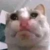 _phwah.02_