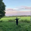 lolloteapot