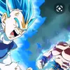 reivegeta123