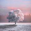 kiddri_