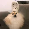 sideterror