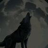 wolf.warrior59
