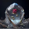 banaz.a.s.a