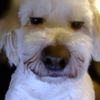 edgar_na