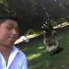 bichoelperrro